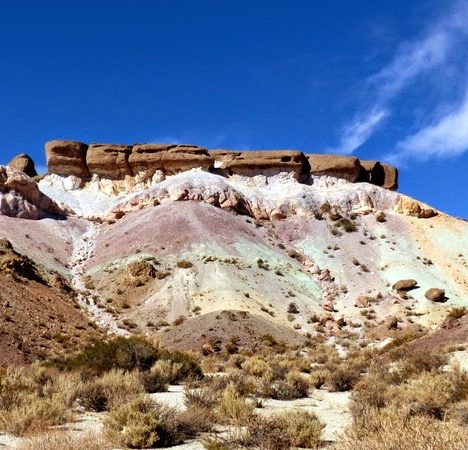 Mendoza: la cuna del vino