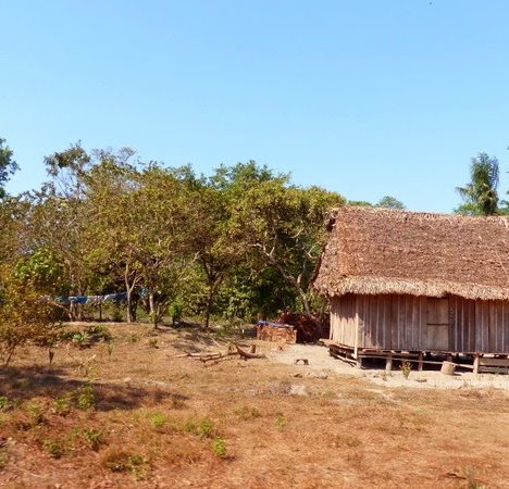 Pampas del Yacuma