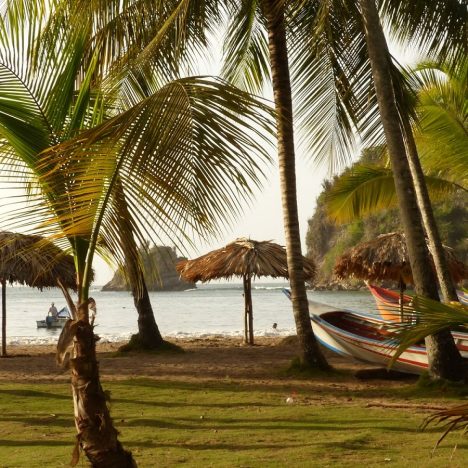 Da Puerto Ordaz alla Cueva del Guacharo