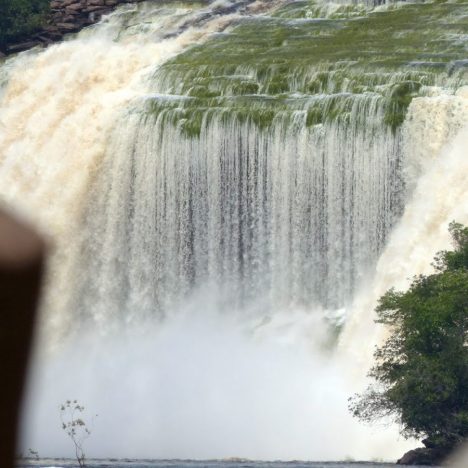 Da Puerto Ordaz alla Cueva del Guacharo