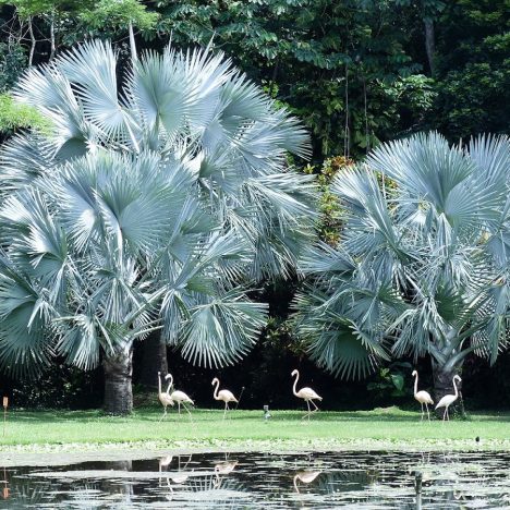 Parque Morrocoy