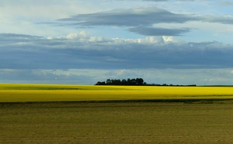 Verso Watson Lake e Campbell Highway