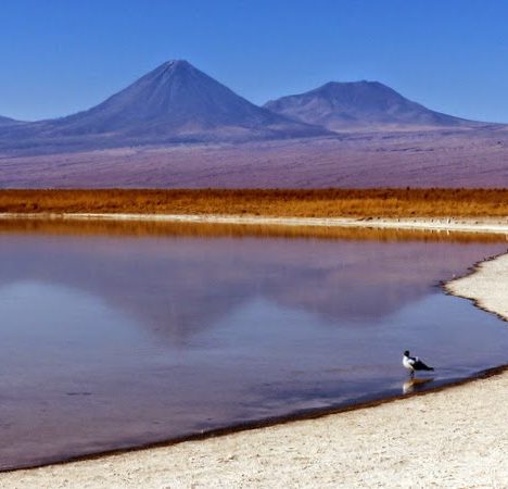 Altopiani boliviani