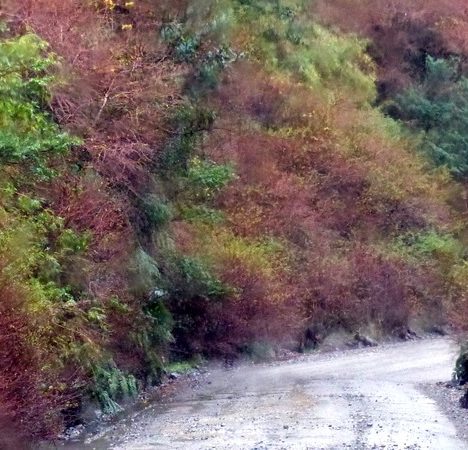 La Trochita – Esquel –  El viejo expreso patagonico