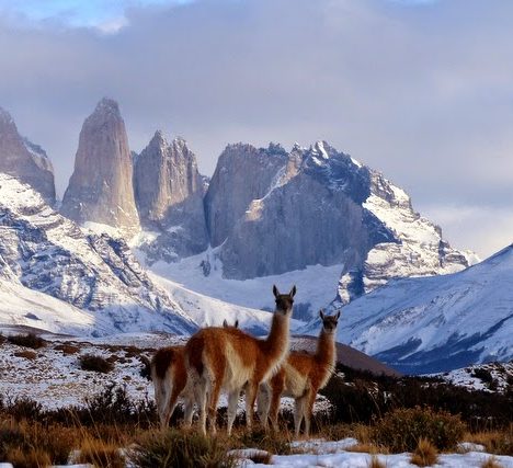 Da Porvenir a Cerro Castillo (Cile)